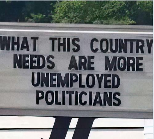 unemployed politicians