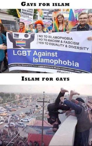 islam gays gays for islam