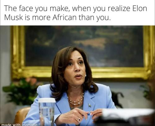 FB_IMG_1722172813347