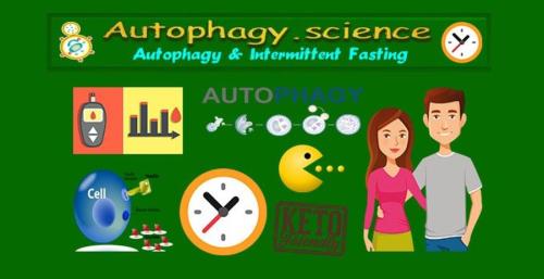 autophagy
