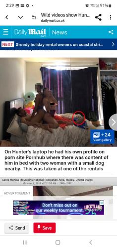 Screenshot_20240711-142903_Chrome