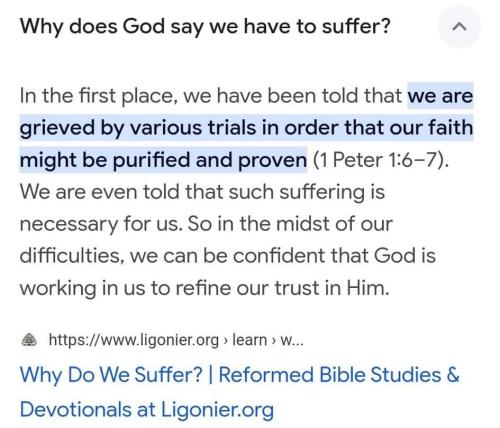 FB_IMG_1721027641941