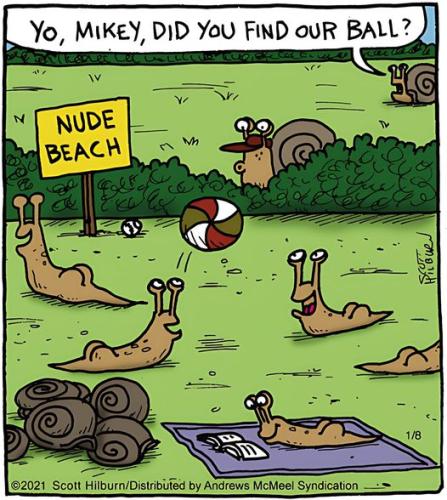 451826875_122166669500056635_8442394143156611468_n