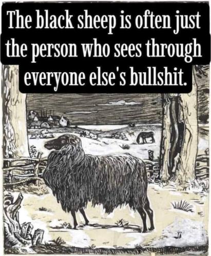 photo_2024-06-30_19-32-57