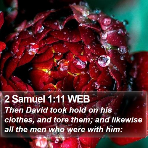 2 Samuel 1_11