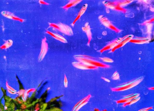 PicsArt_06-18-07.08.11~2