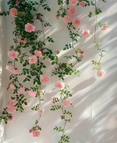 img-bb3bfa32