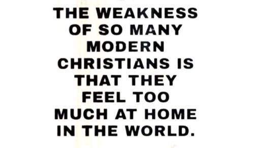 IMG_20240717_202359_506