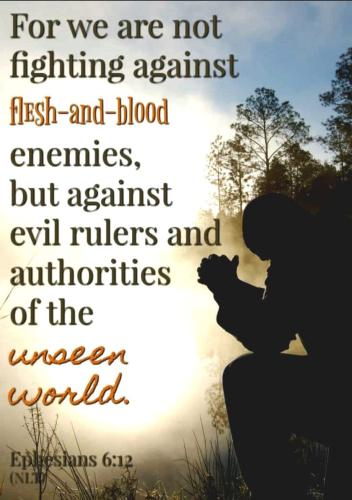 IMG_20240714_210135_047