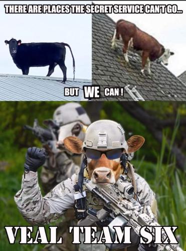 11:51:37 GMT-0500 (CDT)