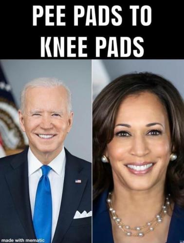 Screenshot_20240721-162040_Brave