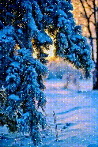 Wendy_W_🌷✝️💐🌻_20240710_4