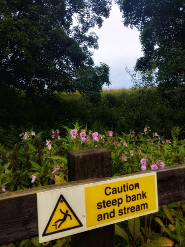 IMG_20240715_184052220_HDR