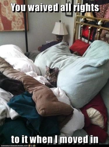 didnt-you-read-the-roomate-agreement