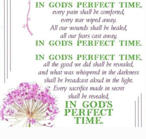 6909b195-0b88-494c-b97b-0ea89ceea673