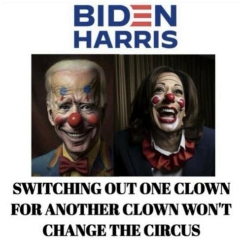 Screenshot_20240724-153938_Brave