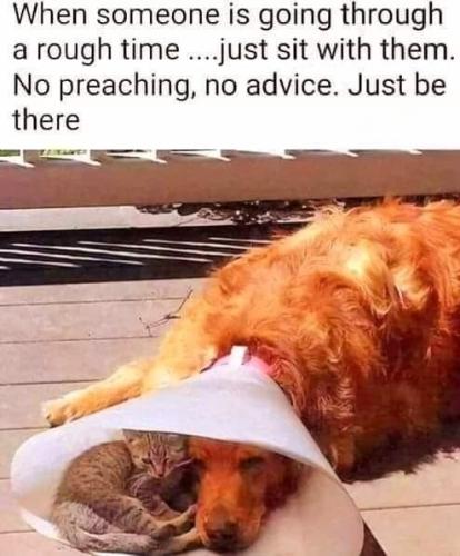 someone-is-going-through-rough-time-just-sit-with-them-no-preaching-no-advice-just-be-there