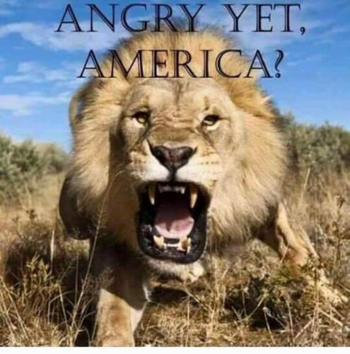 dd40de2f-5eae-4834-b173-a48afcd9f341