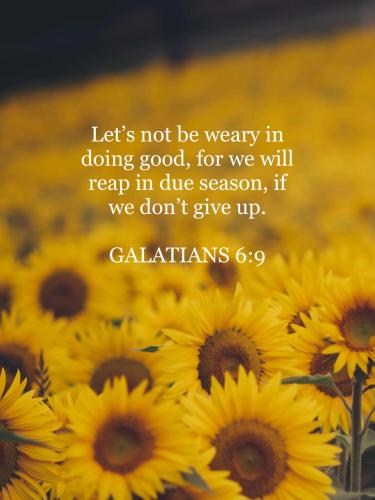 FAITH - Galatians 6.9