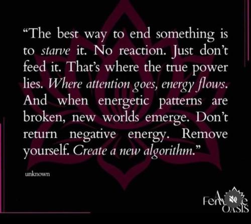 IMG_20240722_102031_708