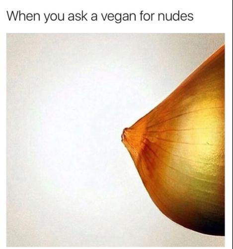 image_4BD74889-BA2D-479A-9424-F6424AD799FA