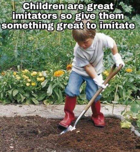 photo_2024-07-02_15-15-19