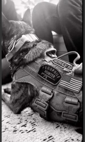 Screenshot_20240718-101810_CloutHub