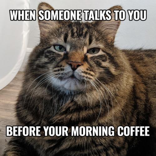 TalkBeforeMeme