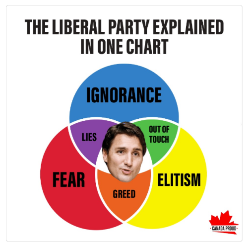 Liberal party chart