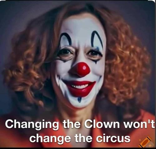 image_C723F304-9A9D-4774-91A6-8ECE1ED6FB6C