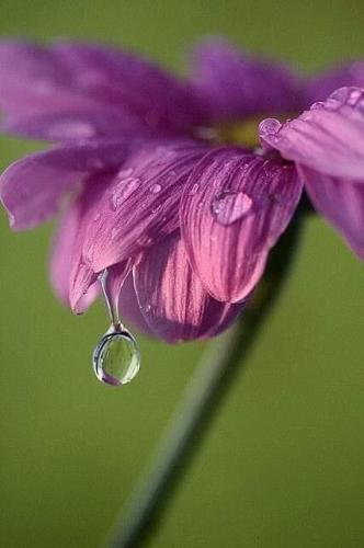 img-bc894926