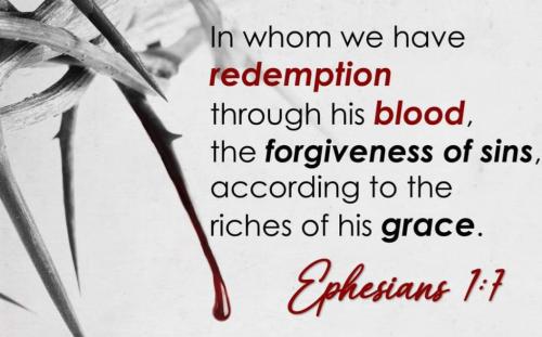 f8b156fd-74b3-4951-a3a4-da7f12bdb5f8