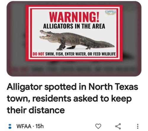 Screenshot_20240711_091956_Google