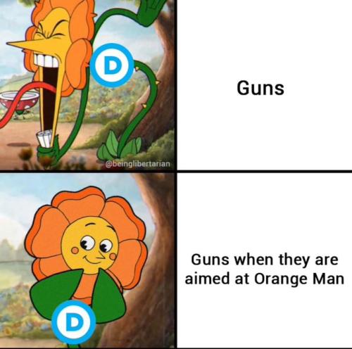 GSjtTIJbIAUv9DA