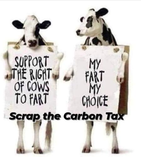 my choice