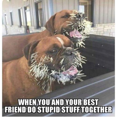 av-and-best-friend-do-stupid-stuff-together
