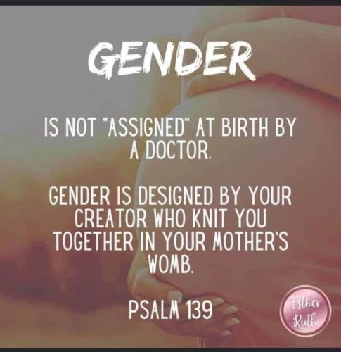 IMG_20240715_203139_519