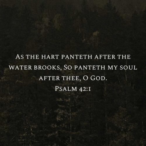 192fb40e-b8b0-4f8f-8816-7473a231a695