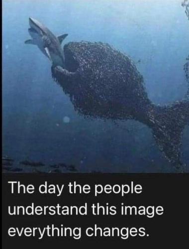 FB_IMG_1720145050663