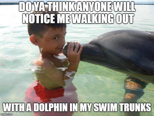 FB_IMG_1527088417515