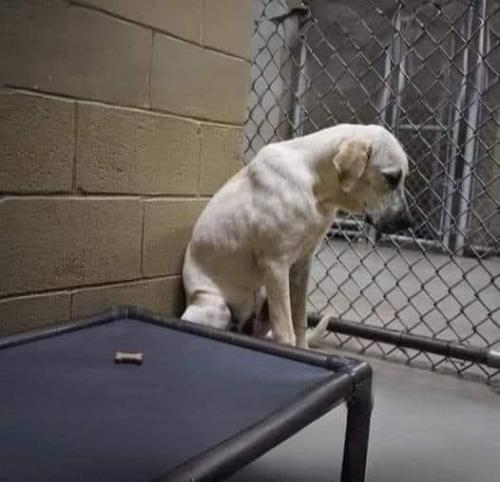 d0f48dba-905e-49ba-8abe-4a1961eaf2df