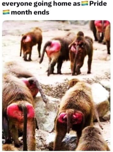 image_A7D75BF3-CC61-499C-90CC-9EAFA5B91BBF