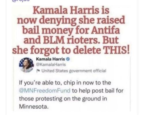antifa :kamala me