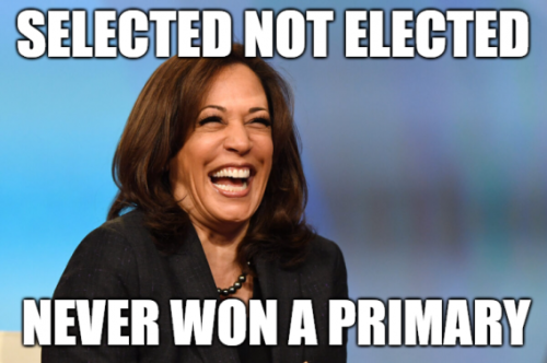 image_2024-07-24_064454076