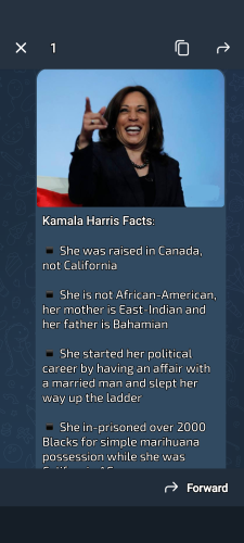 Screenshot_20240723-224531