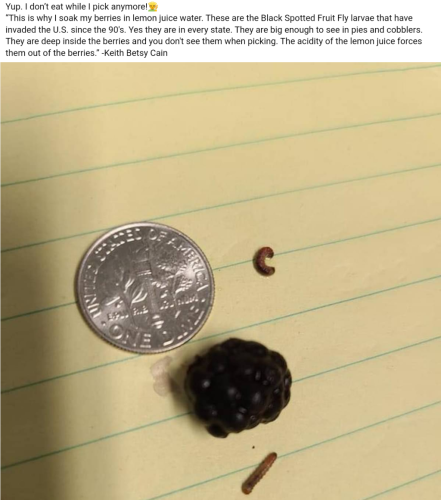 Screenshot_2024-07-25-00-14-23_kindlephoto-362122419