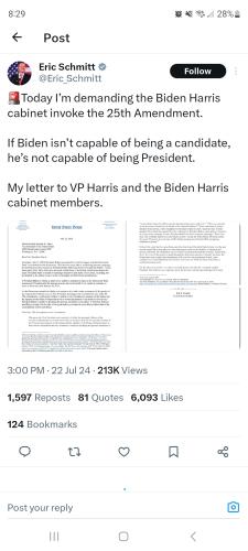 Screenshot_20240723_202931_X