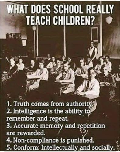 Screenshot_20240725_172759_Facebook