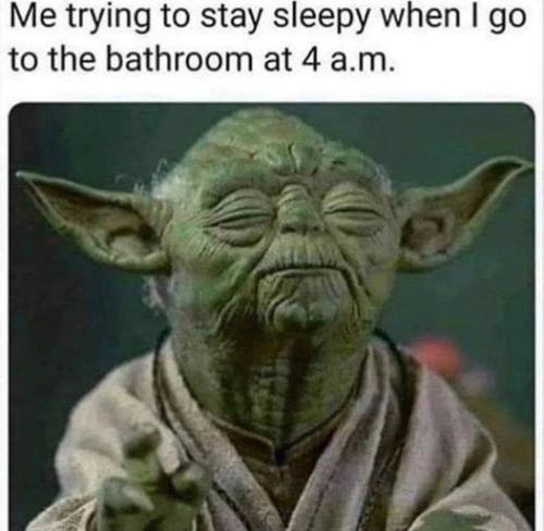 451328889_1046387153510115_3289523698533959262_n