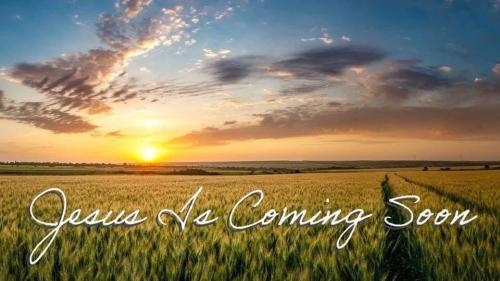 79f63837-f094-4424-aeda-e63a83d183d5